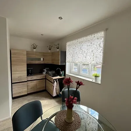 Lägenhet Apartman Kalusova, Marianske Hory Ostrava